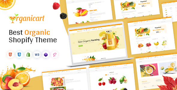 Organickart - Responsive Shopify Theme OS 2.0